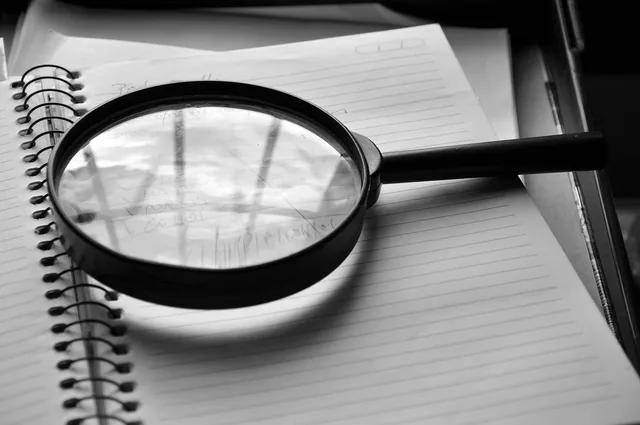 magnifying glass, journal, detail, job, the audit, magnifying glass, magnifying glass, magnifying glass, magnifying glass, magnifying glass. Accounting services regulations in England: audit bodies, AML supervisors, HMRC agent form and data roles